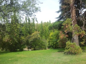 PARQUE DEL OESTE - Panorama1