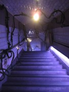 Bajada al paraíso... tecnológico