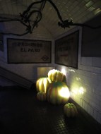 ¿Las calabazas de El Capricho?