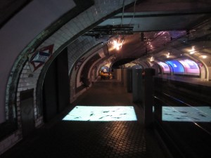 Los bichos interactivos