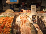 ¿El pescado de Melchor?