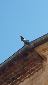 ¿Inocuas tuberías o pavorosos dragones?