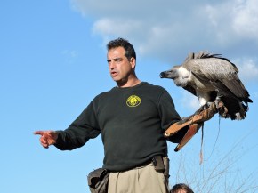 La armonía, y sincronía, entre el hombre y el rapaz