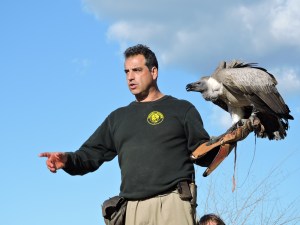 La armonía, y sincronía, entre el hombre y el rapaz