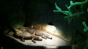 Una aterradora pareja