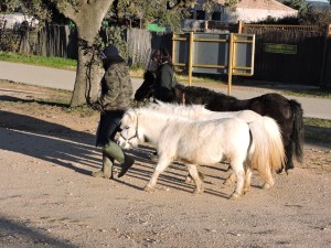 La vuelta al hogar dulce hogar...