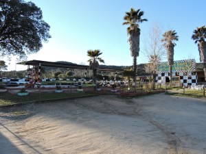 ...bajo la sombra de palmeras ambiciosas