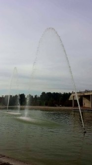 18595194_1794201070607149_6525397745277056057_o