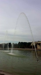 18595194_1794201070607149_6525397745277056057_o