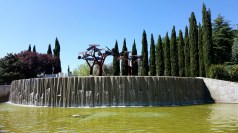 18768233_1802524459774810_9177798889744995227_o