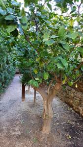 18768586_1808772515816671_2396818921915397369_o