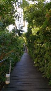 18880017_1808773279149928_1302379193196897016_o