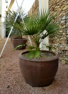 18880182_1808763802484209_2975243815708497664_o