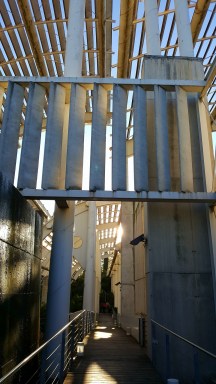 18880235_1808761745817748_7065610220169633539_o