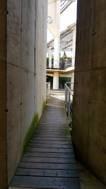 18891502_1808764209150835_5572063644706001113_o