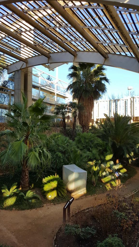 18891593_1808764079150848_7585830777711392249_o