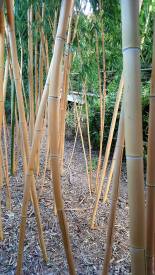 18920990_1808761122484477_7732613499730886873_o