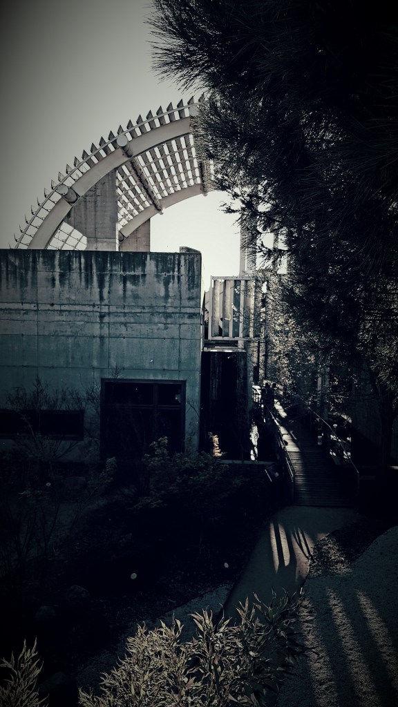 18955050_1808762355817687_3967755723708341365_o