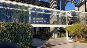 18955060_1808773649149891_313926369957872311_o