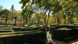 25531983_2030140860346501_1177610847952372305_o