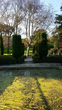 25587782_2030080320352555_4262879262583523402_o