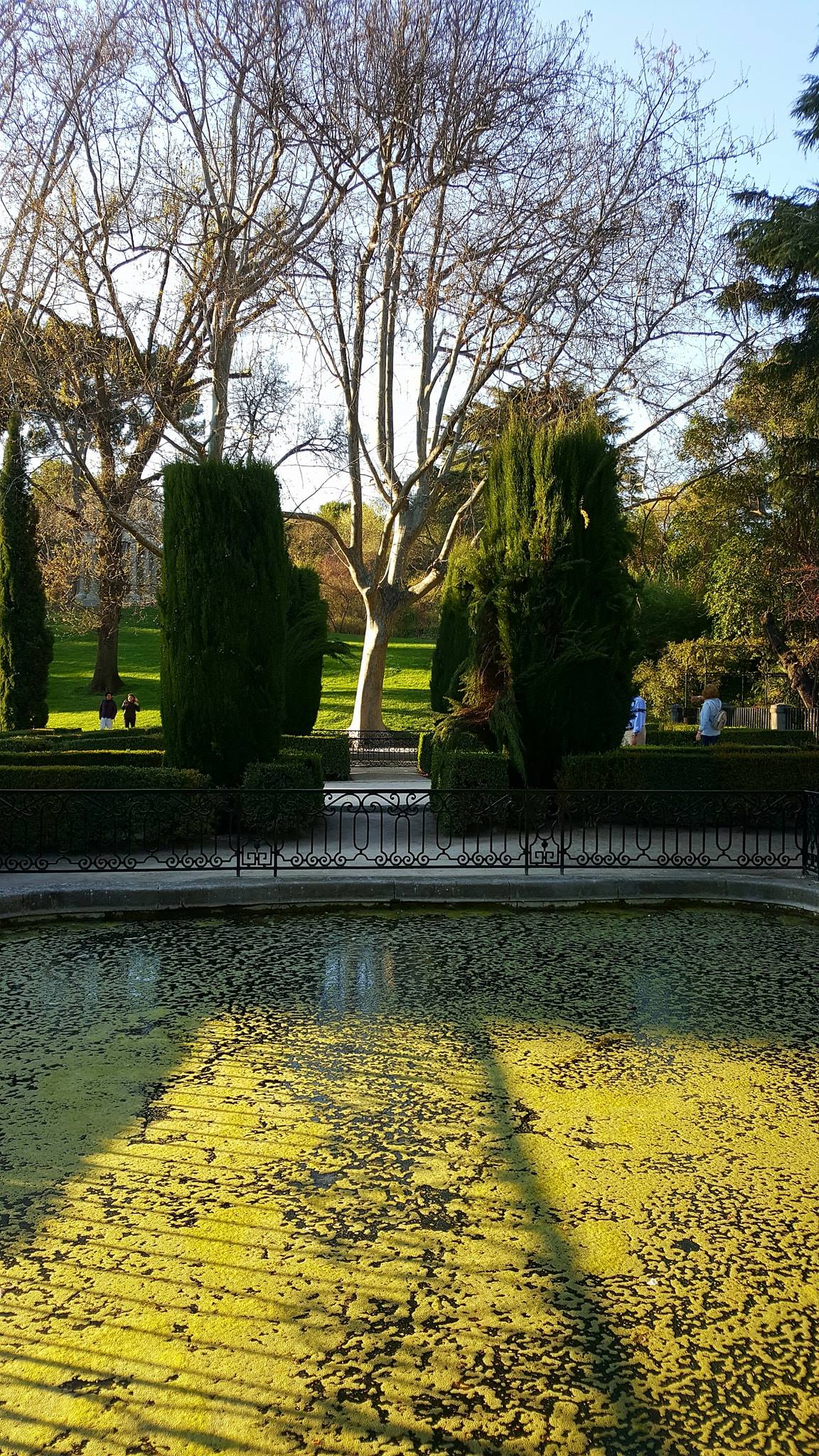 25587782_2030080320352555_4262879262583523402_o