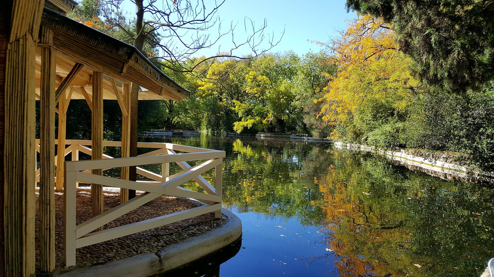 44432426_1703400253104843_3467604845005897728_o