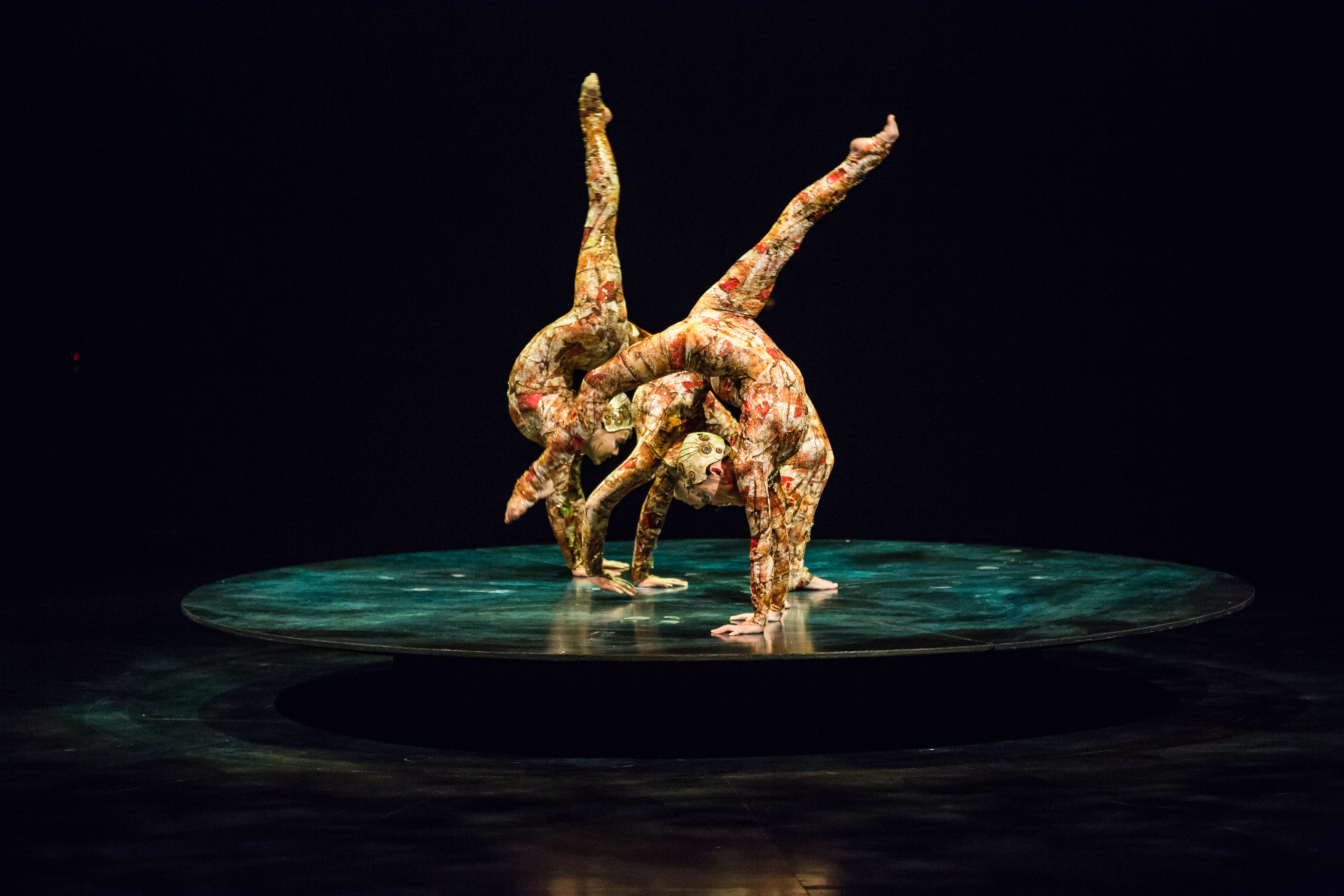 1475_04_Contorsion_102_ORIGINAL