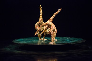 1475_04_Contorsion_102_ORIGINAL