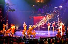 79854118_3230041257023116_7959844481446969344_n