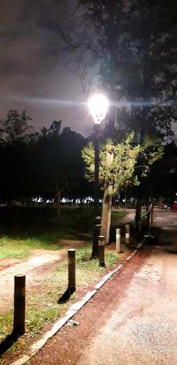 80534223_3230047040355871_7387300219626455040_o