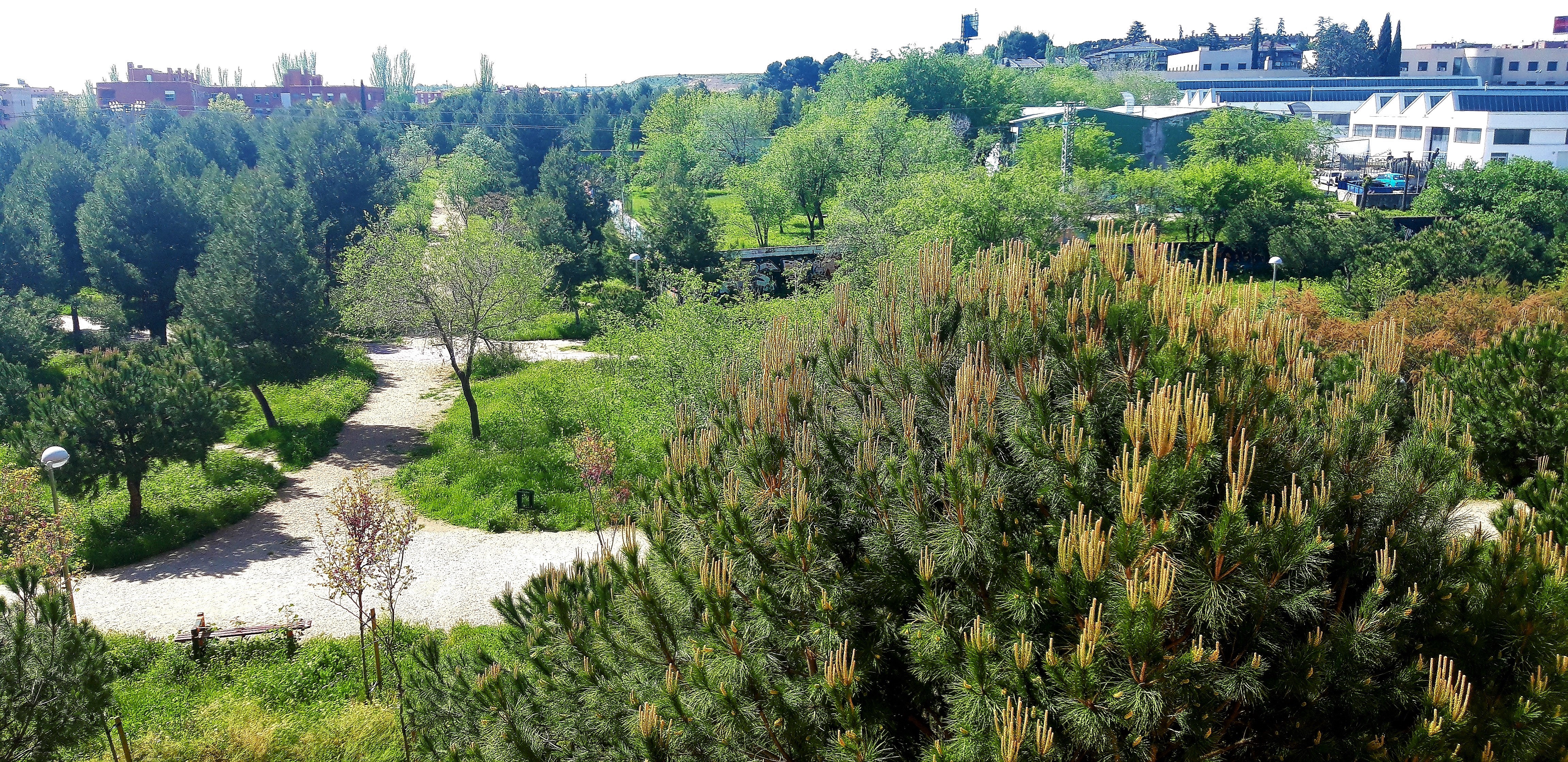 20200420_115620 retocada