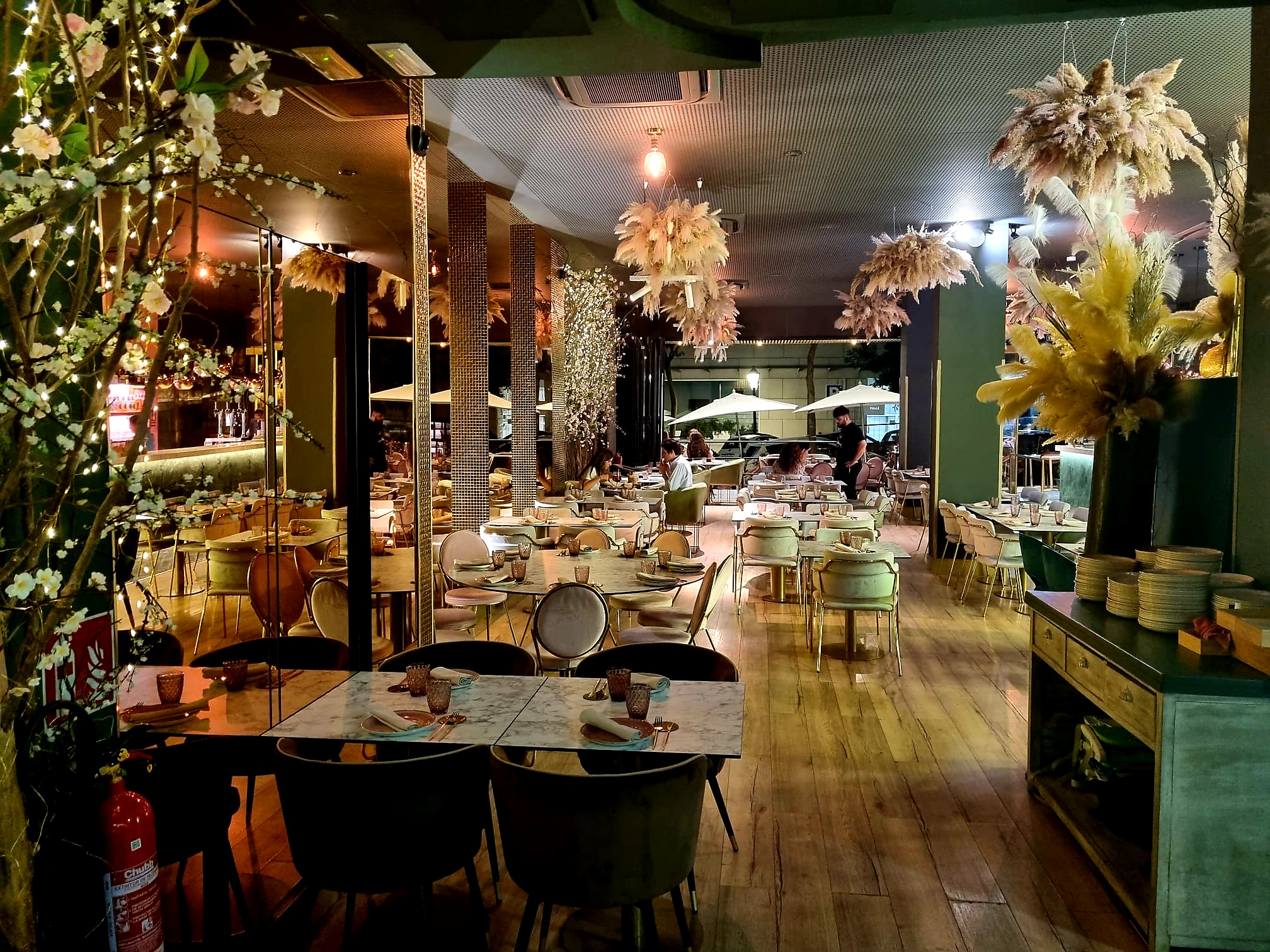 IMG-20220630-WA0003-1